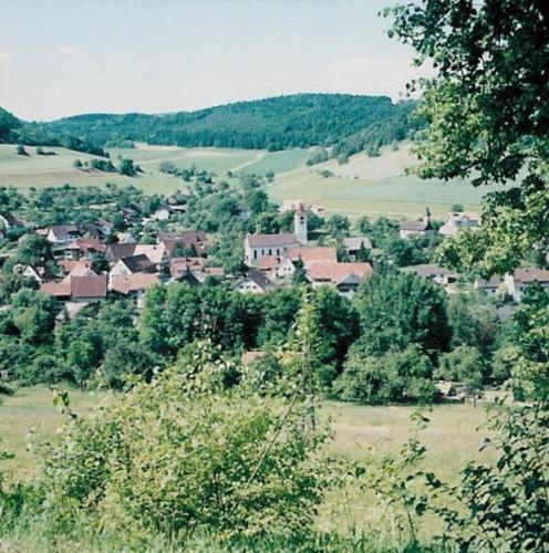 Gasthaus Schwanen & Villa Pfarrhus Stuhlingen Extérieur photo